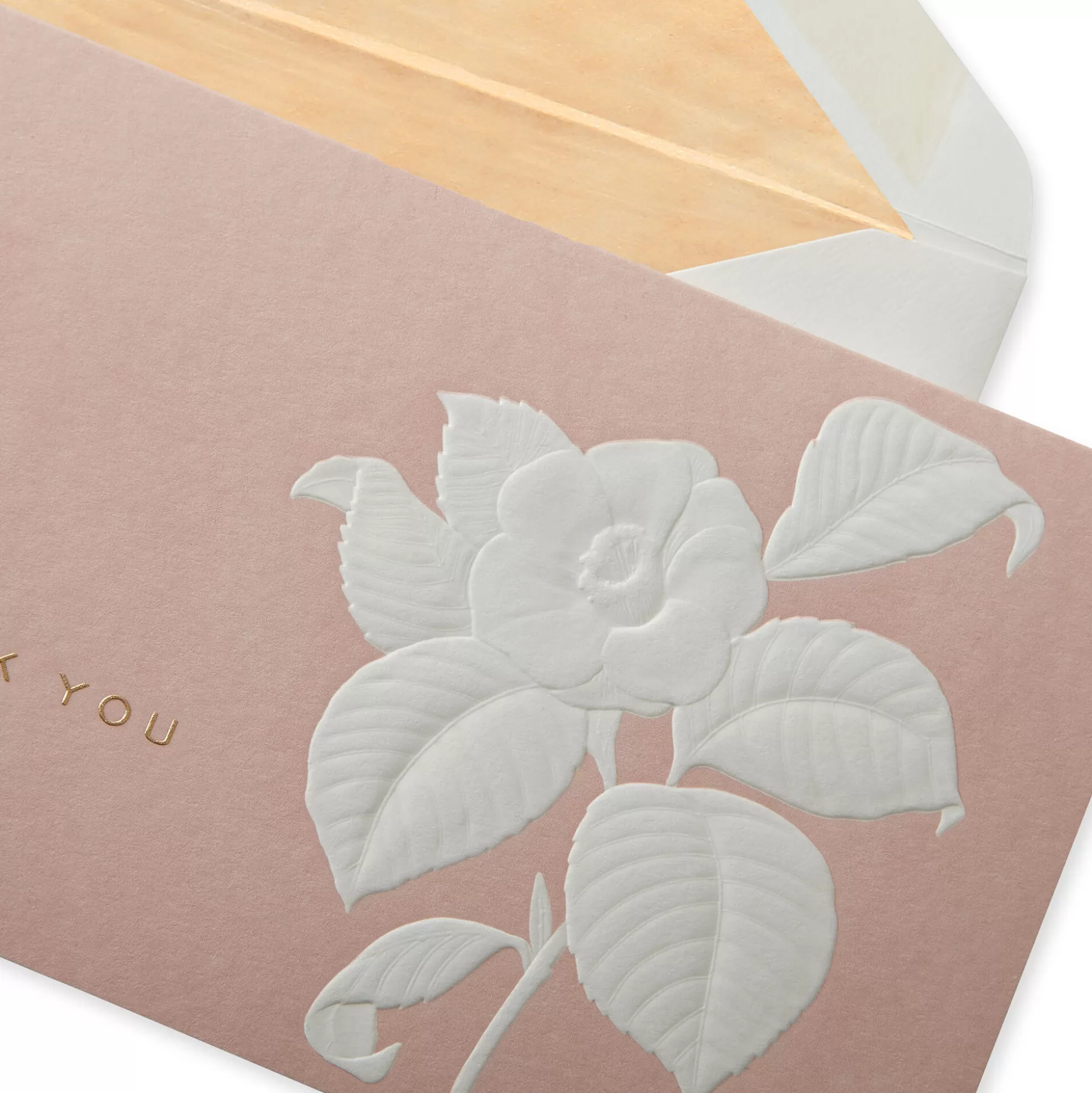 Smythson Correspondence Cards^Camelia Thank You Notelets